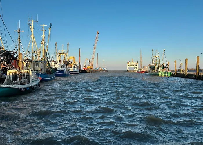 Alte Wache Lägenhet